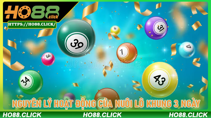 Nguyên lý hoạt động của Nuôi Lô Khung 3 Ngày