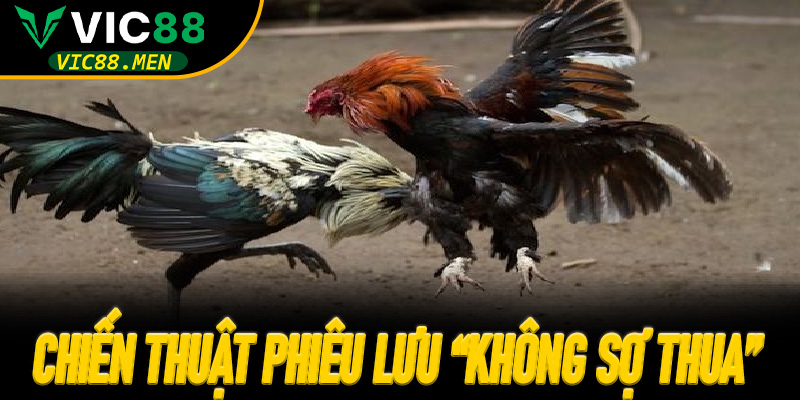 Chiến thuật phiêu lưu “không sợ thua”