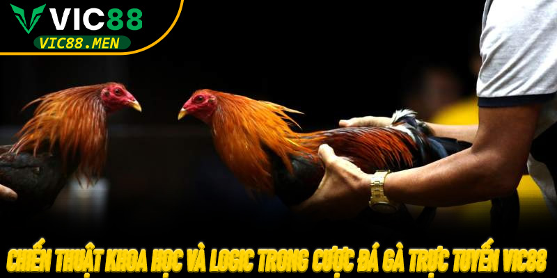 Chiến thuật khoa học và logic trong cược Đá Gà Trực Tuyến Vic88