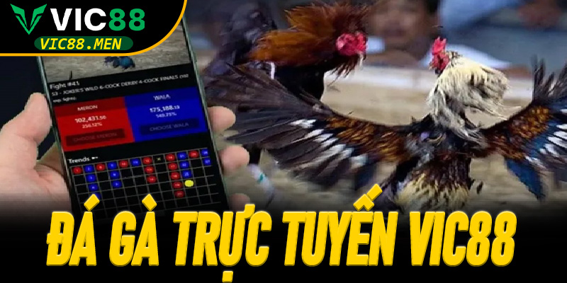 Đá Gà Trực Tuyến Vic88