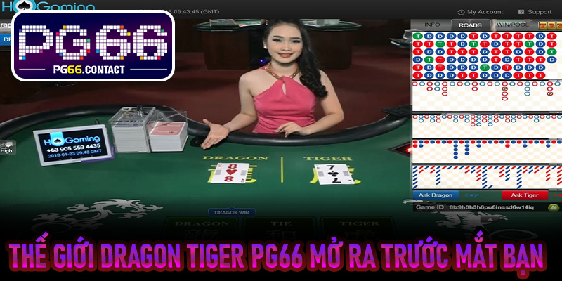 Thế giới Dragon Tiger PG66 mở ra trước mắt bạn