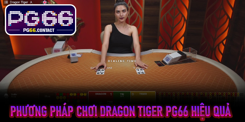 Phương pháp chơi Dragon Tiger PG66 hiệu quả