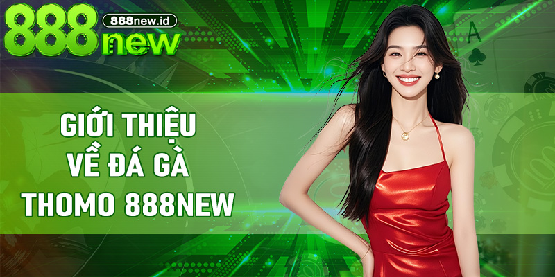 Giới thiệu về Đá Gà Thomo 888new