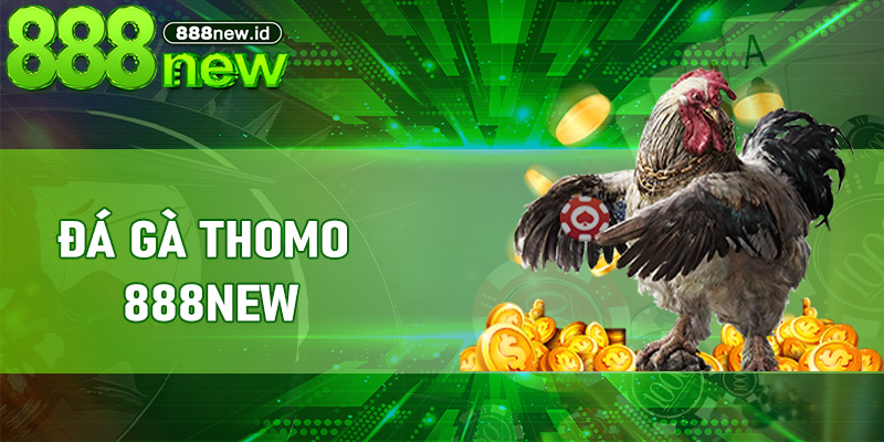 Đá Gà Thomo 888new - Tận Hưởng Những Trận So Găng Đỉnh Cao